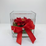 Dhalia Premium Preservada