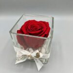 One Rose (Cubo de Cristal)