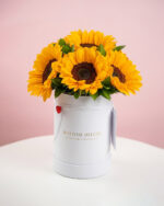 Hat Box Alba