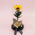 Girasol Encantado