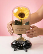 Girasol Encantado Spotify - Imagen 2