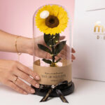 Girasol Encantado Spotify