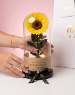 Girasol Encantado Spotify