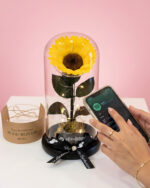 Girasol Encantado Spotify - Imagen 3