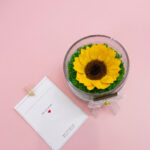 Girasol Preservado