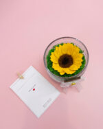 Girasol Preservado
