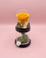 Rosa Encantada Lumiere - Imagen 8