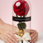 Rosa Encantada XXLL