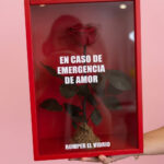 Emergencia de Amor