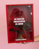 Emergencia de Amor