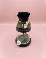 Rosa Encantada Lumiere - Imagen 6