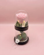 Rosa Encantada Lumiere - Imagen 4