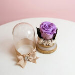 Mini Encanto - mini rosa preservada