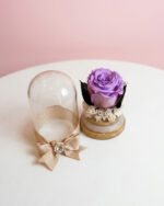 Mini Encanto - mini rosa preservada