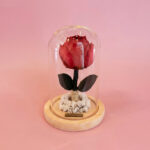 Peonia Encantada