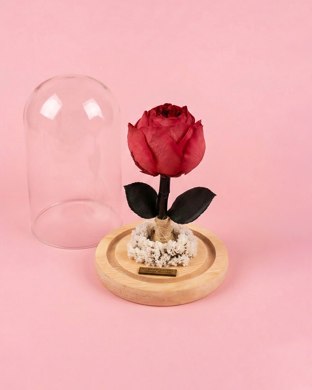 peonia-natural-preservada-eterna-lima-tingo-maria-peru-2 Peonia Encantada - Imagen 2
