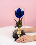 Rosa Encantada Bella - Imagen 2