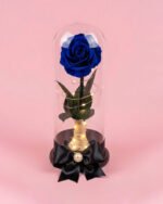 Rosa Encantada Bella