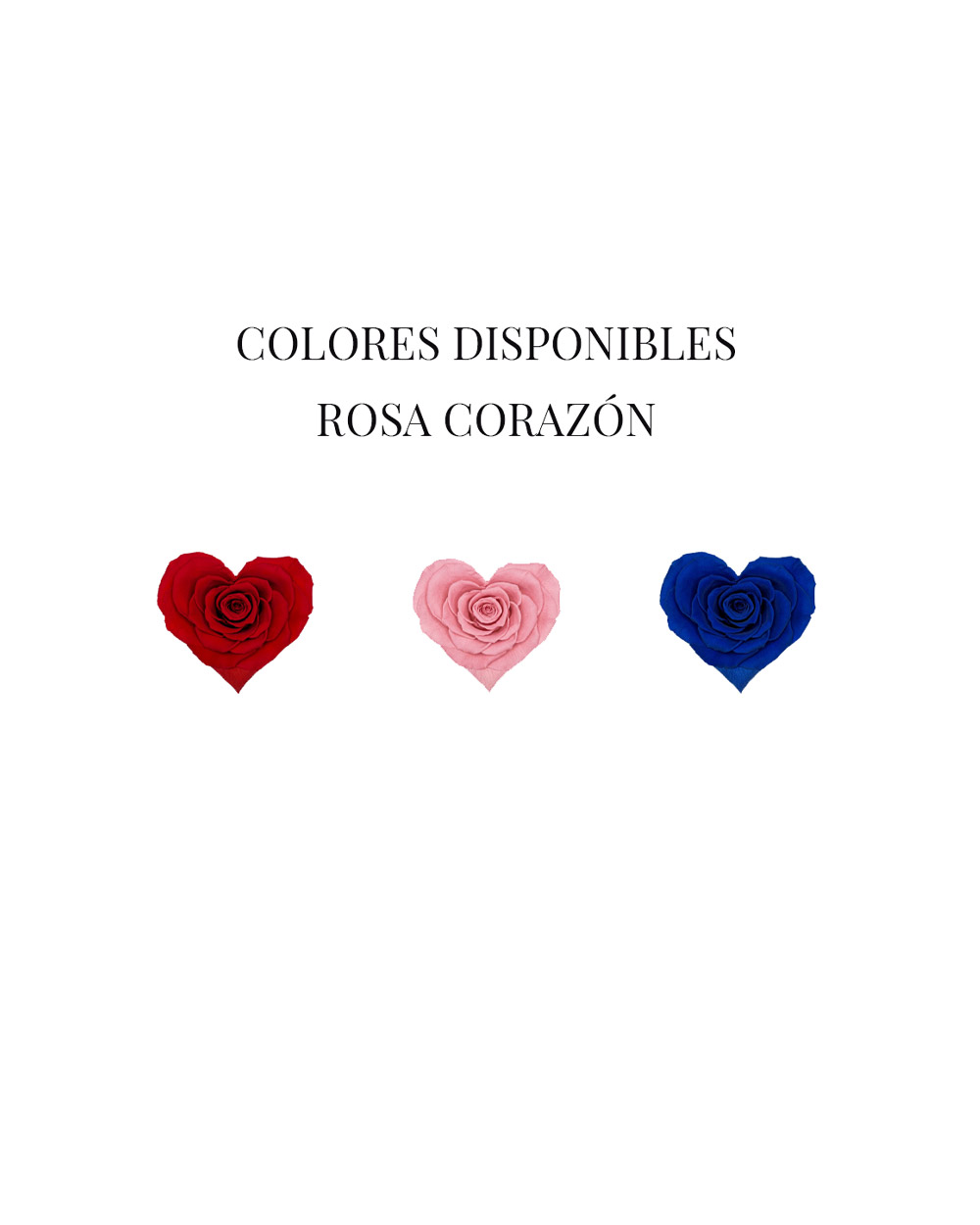 rosa-colores-preservada-corazon-eterna-lima-peru Rosa Encantada Corazón Bella - Imagen 3