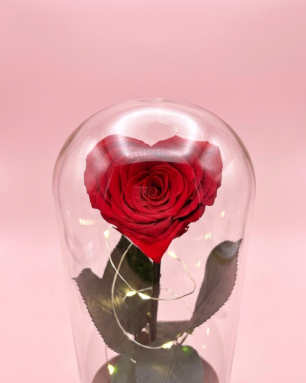 rosa-corazon-preservada-eterna-lima-peru1 Rosa Encantada Corazón Bella - Imagen 2