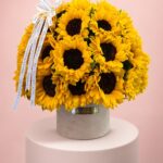 Majestic Girasoles