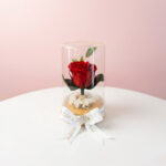 Tesoro - Mini Rosa Preservada